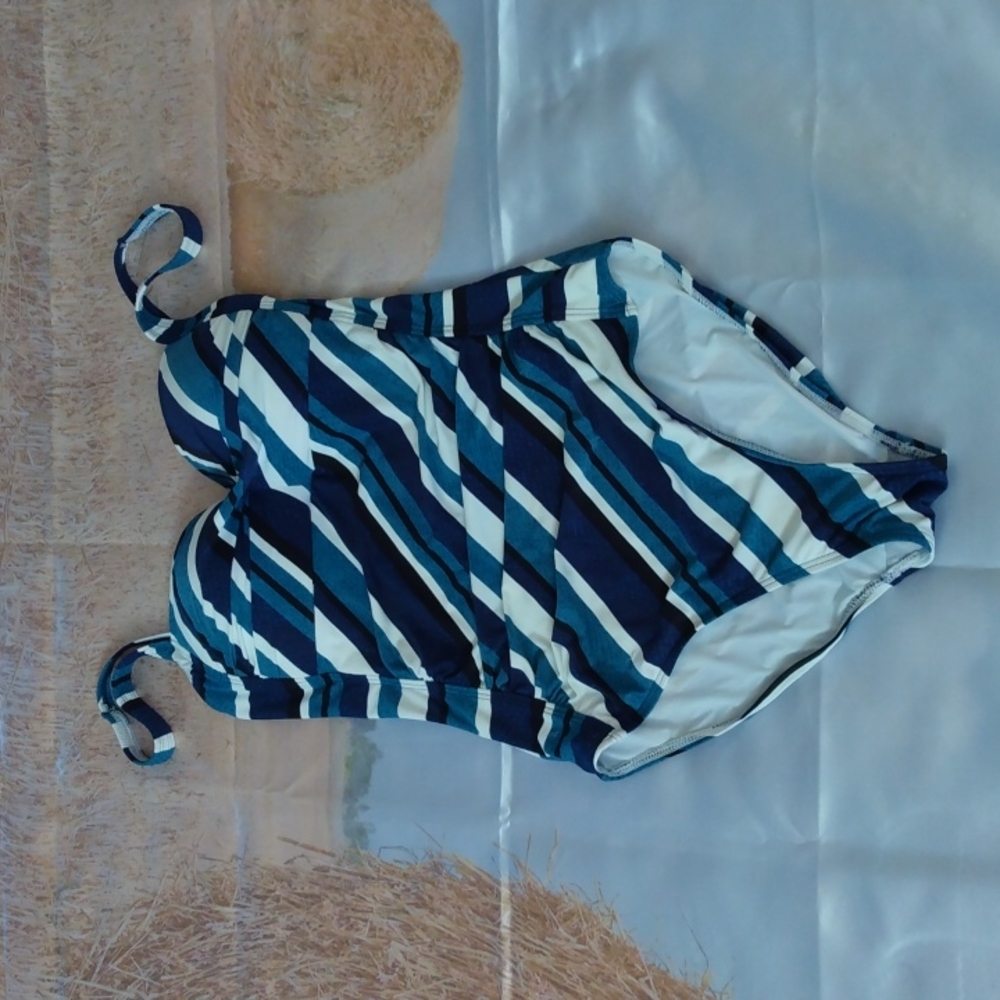 Niptuck One-piece Swimsuit.
